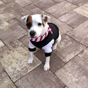 Julee Jerkovich Loreth